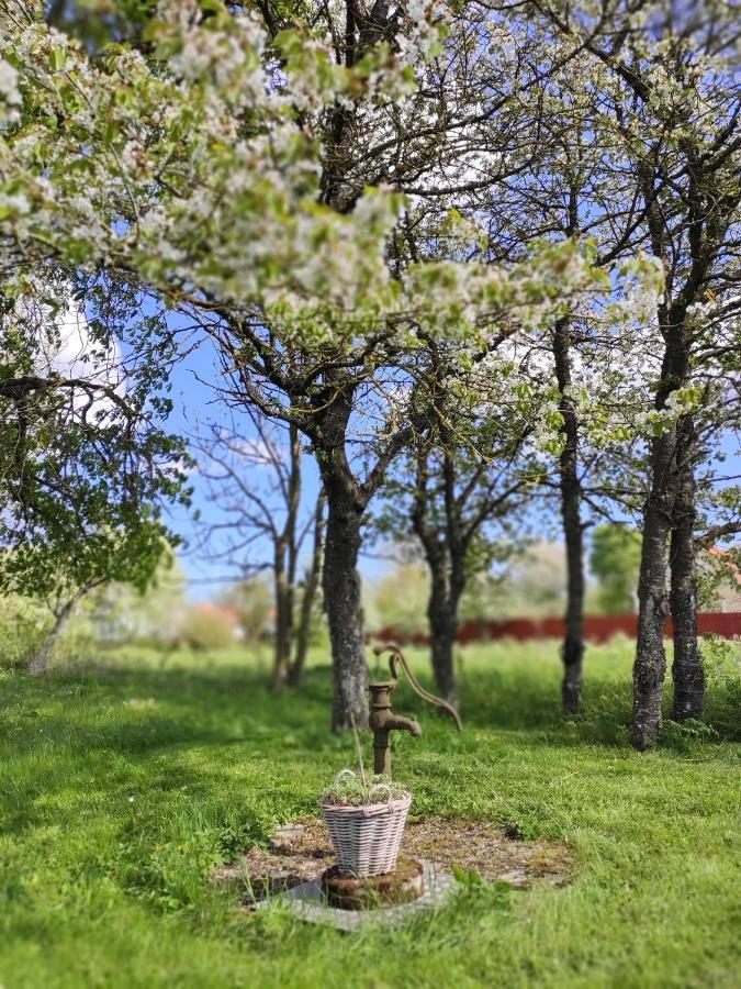 Gothem Viby Bed&Breakfast Slite Екстериор снимка